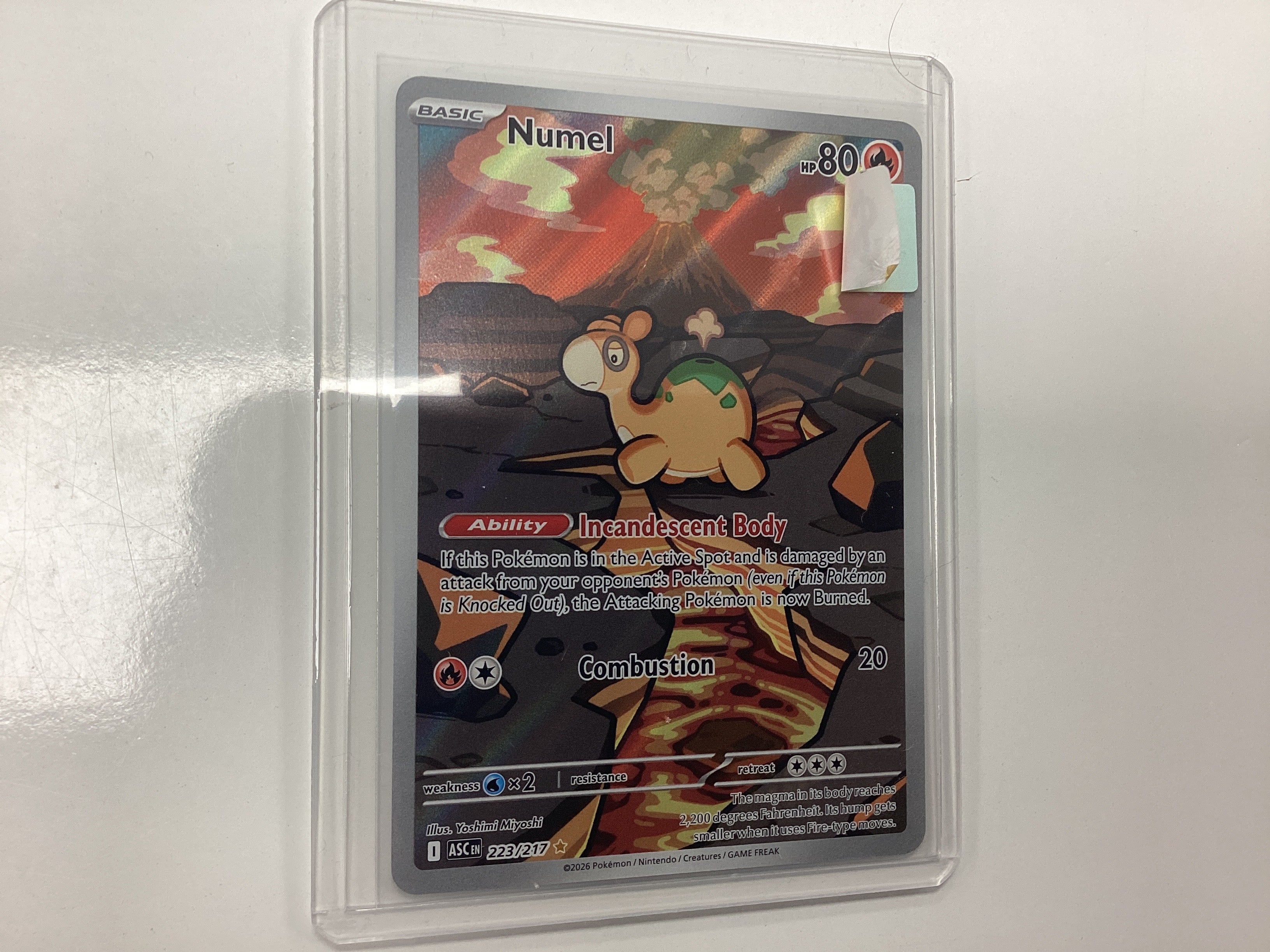 Numel 223/217