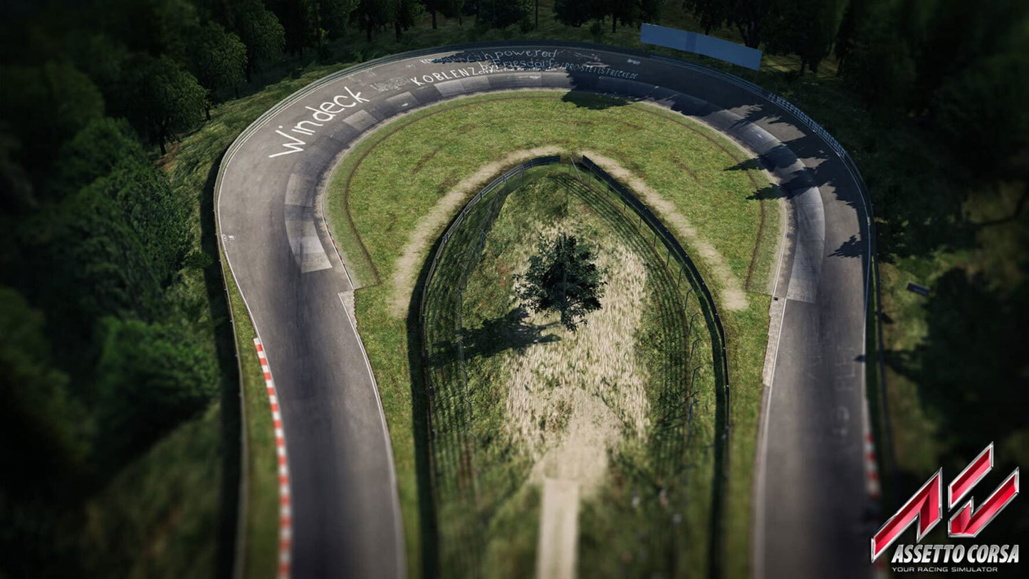 Assetto Corsa Ultimate Edition (PS4)