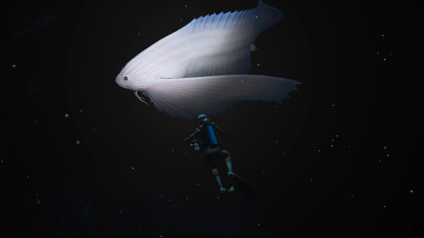 6741097