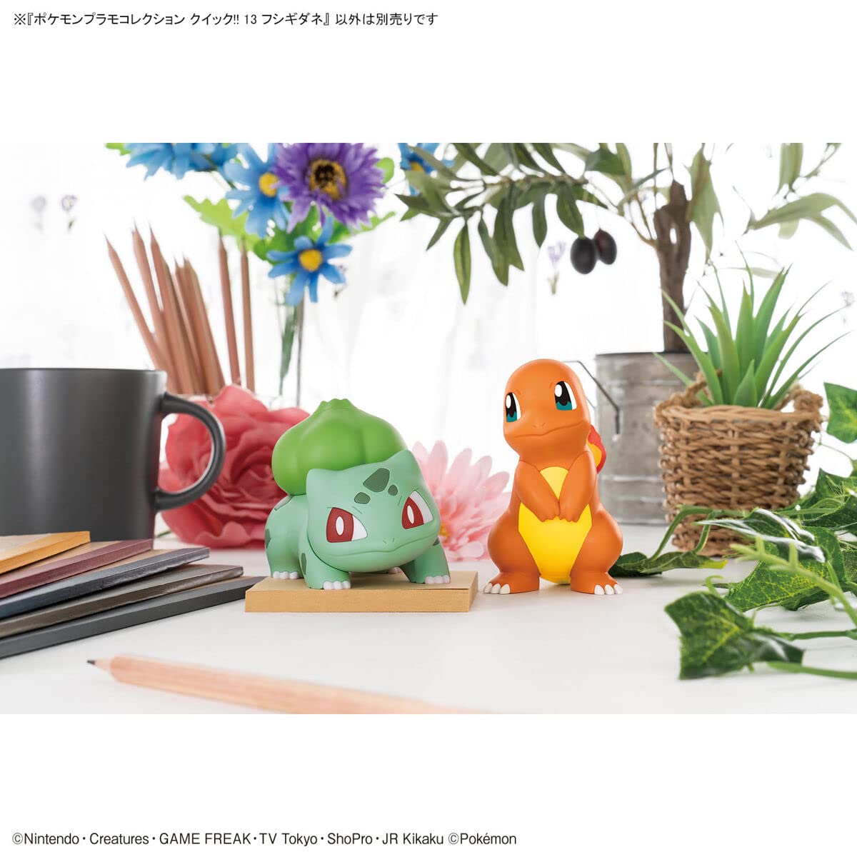 BANDAI Hobby - Pokémon - #13 Bulbasaur Pokémon Model Kit Quick!