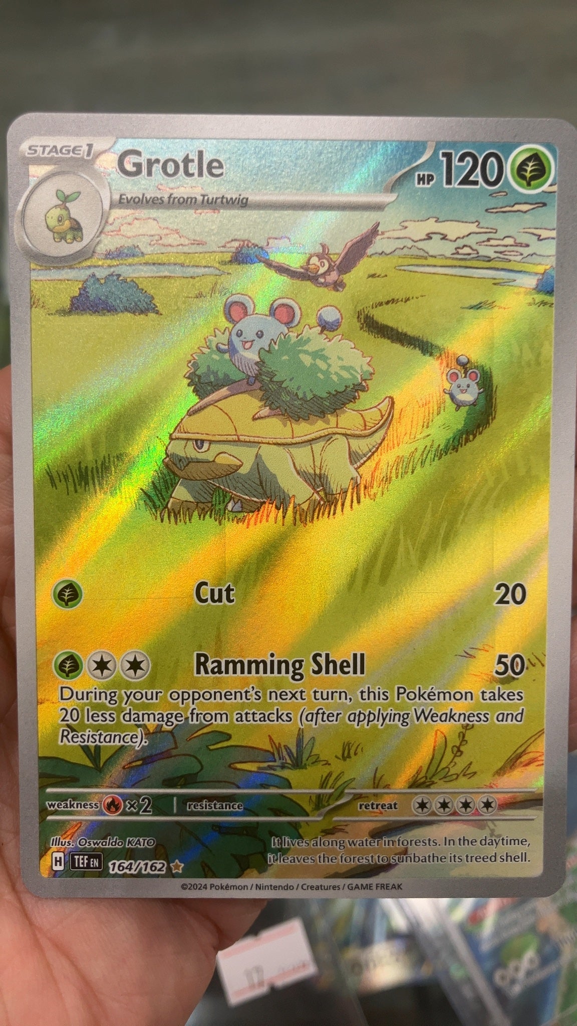 Grotle - Pokemon Temporal Forces 164 (Near Mint) — trade-in photo