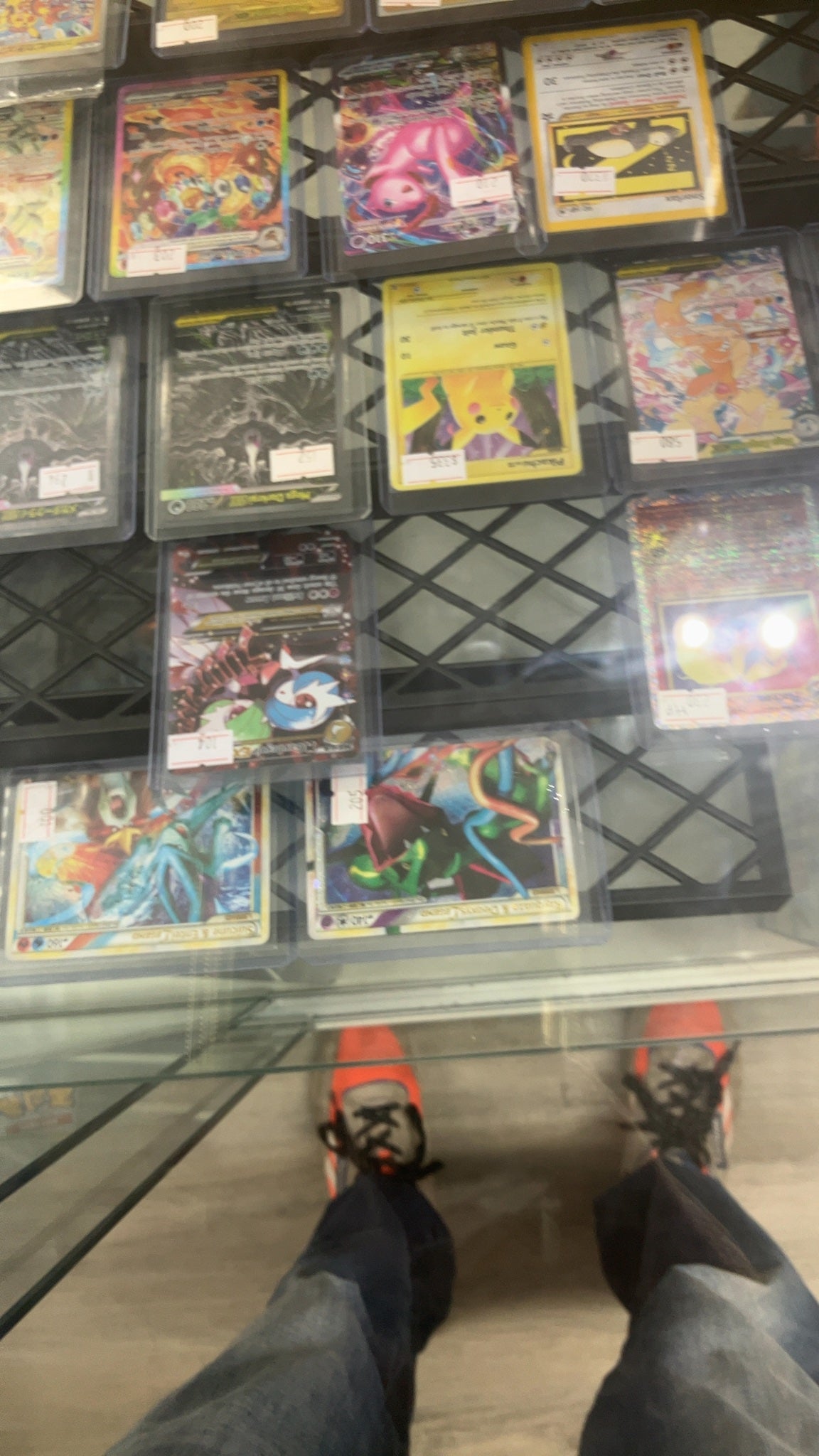 Absol [Reverse Holo] - Pokemon Plasma Freeze 67 (Near Mint) — trade-in photo (back)
