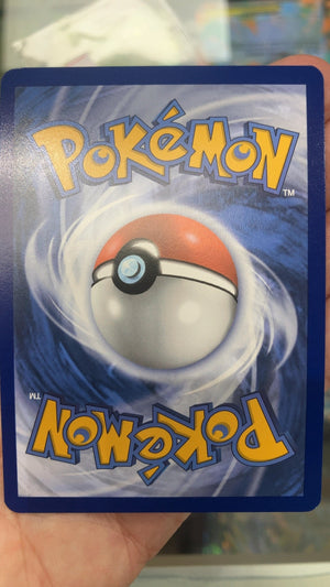 Dachsbun - Pokemon Paldean Fates 161 (Near Mint) — trade-in photo (back)